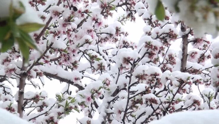 Sivas’ta kar yağışıyla birlikte büyüleyici manzara oluştu