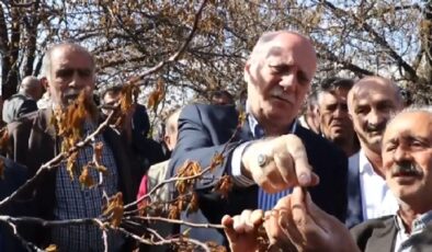 TZOB Genel Başkanı Bayraktar, zirai dondan etkilenen bahçeleri inceledi
