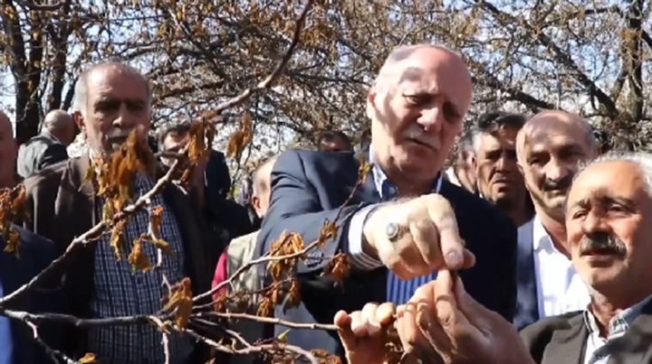 TZOB Genel Başkanı Bayraktar, zirai dondan etkilenen bahçeleri inceledi
