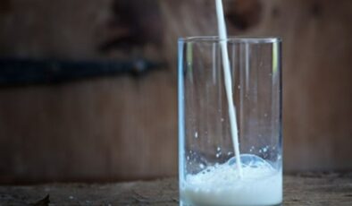 Ticari süt işletmeleri 857 bin ton süt topladı