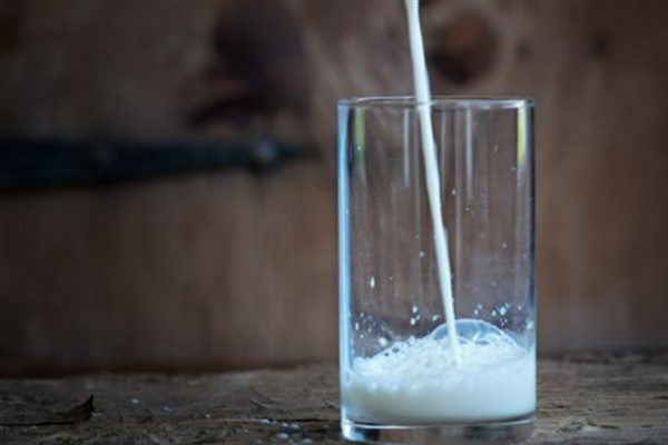 Ticari süt işletmeleri 857 bin ton süt topladı