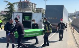 Tırla çarpışan motosikletteki sürücü öldü