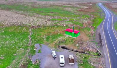 Diyarbakır’da doğal akvaryum: Üç balık türü bir arada