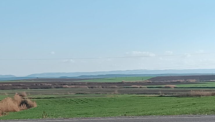 Yağmur bereket getirdi, Bismil Ovası yeşillendi
