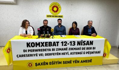 Anadilinde Eğitimde Çözüme Doğru: Olanaklar, Engeller, Öneriler Çalıştayı
