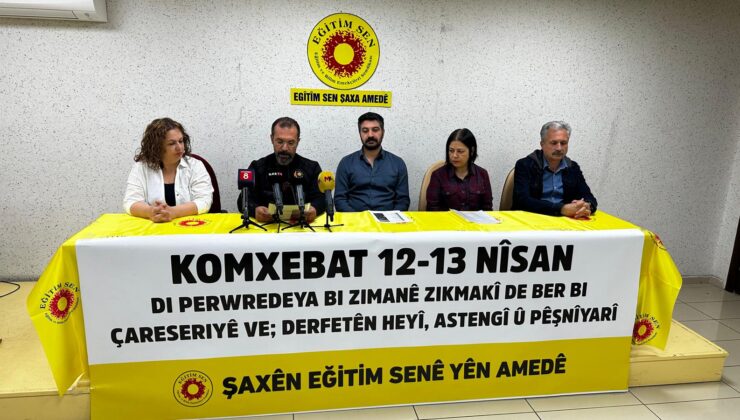Anadilinde Eğitimde Çözüme Doğru: Olanaklar, Engeller, Öneriler Çalıştayı