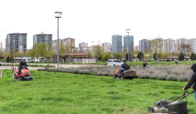Kayapınar Belediyesi çalışma temposunu artırdı