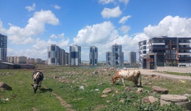Diyarbakır’da Modern Kent ve Köy Hayatı iç içe geçti