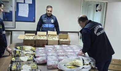 Bağlar Belediyesi’nden Gıda Denetimi