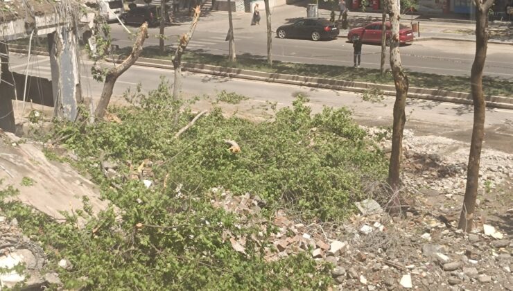 Diyarbakır’da yıkımlar sürüyor, doğa zarar görüyor
