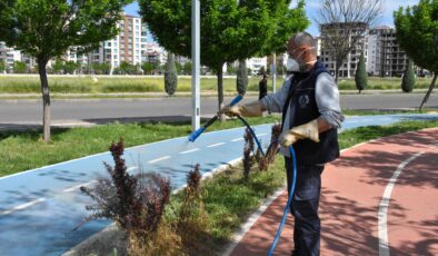 Park ve Bahçelerde Yoğun İlaçlama ve Bakım Çalışması