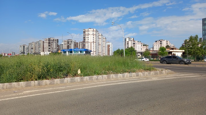 Yabani Otlar  Kavşaklarda  Görüş Alanını Kısıtlıyor