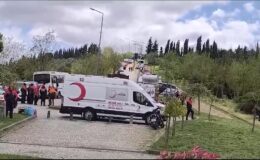 Demans hastası ormanda kayboldu