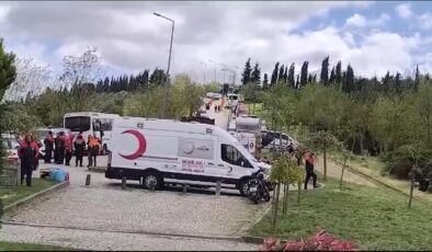 Demans hastası ormanda kayboldu
