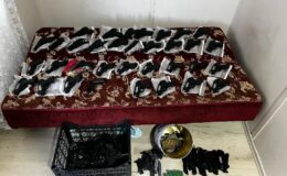 1 el bombası ile 45 silah ele geçirildi