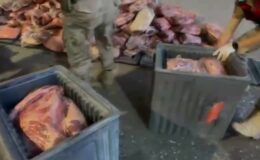 1700 kilogram bozulmuş et ele geçirildi
