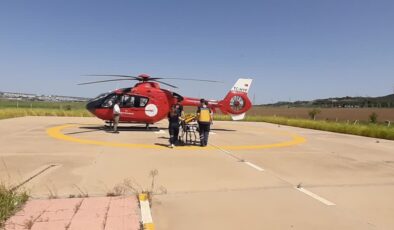 Ambulans helikopter ağaçtan düşen  kişi için havalandı