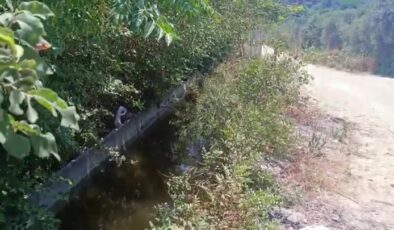3 yaşındaki çocuk sulama kanalında ölü bulundu