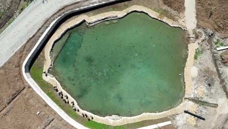 Kozluk’taki 3 bin yıllık Erzen Antik Kenti’ndeki balıklı göl turizme kazandırılıyor