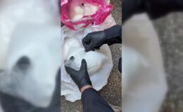 35 kilo 280 gram uyuşturucu ele geçirildi