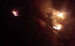Kozan’da çıkan orman yangını söndürüldü