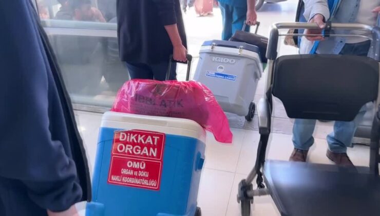 Beyin ölümü gerçekleşen gencin organları 6 hastaya umut oldu