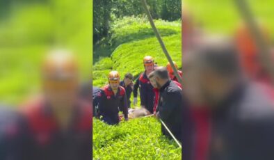 Çay bahçesinde düşerek mahsur kalan kişiyi ekipler kurtardı