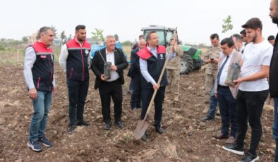 Cizre’de fıstıkçılık ve seracılık çalışmaları hız kazandı