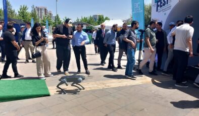 Robotik Köpek Festivalin Gözdesi Oldu