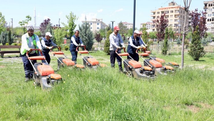 Diyarbakır’da park ve refüjlerde yoğun bakım başladı