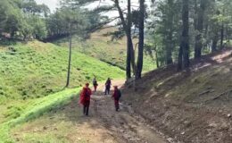 Doğa yürüyüşünde kaybolan müdür yardımcısı aranıyor