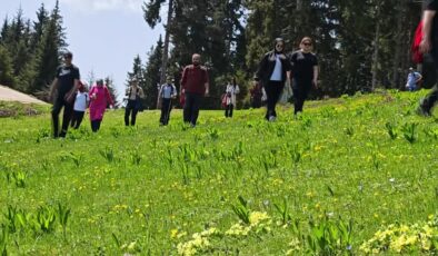Doğaseverler yaylalara ilgi gösterdi