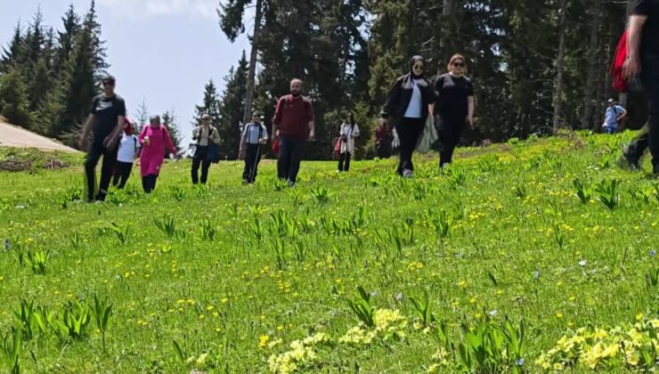 Doğaseverler yaylalara ilgi gösterdi