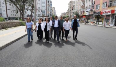 Emek Caddesi Sıcak Asfaltla Baştan Sona Yenileniyor