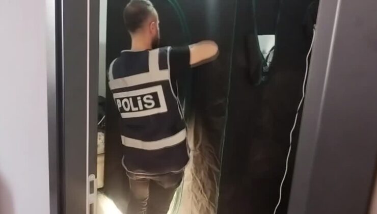 Evde iklimlendirme sistemiyle kenevir yetiştiren 3 zanlıdan 1’i tutuklandı