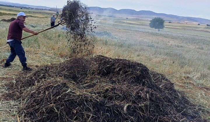 Araban’da firik sezonu başladı