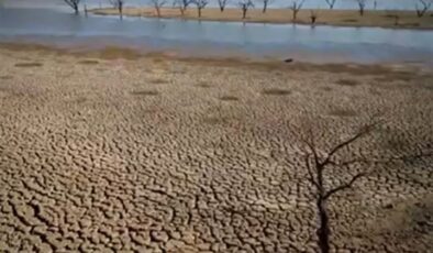 Rekor sıcaklıklar Fransa, Portekiz ve İspanya’nın bazı bölgelerini etkisi altına aldı