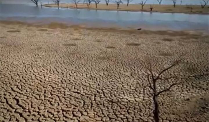 Rekor sıcaklıklar Fransa, Portekiz ve İspanya’nın bazı bölgelerini etkisi altına aldı