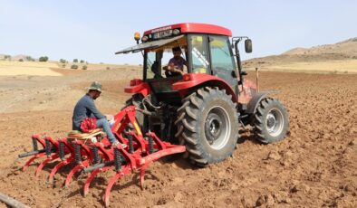 Gercüş ilçesinde çiftçiler, kavun ve karpuz tohumlarını toprakla buluşturdu