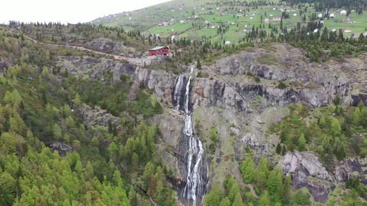 Akarsuları canlanan Sis Dağı Yaylası çiçeklerle renklendi
