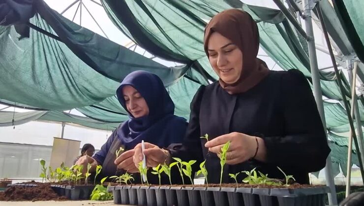 Bu Kadınlar ata tohumuyla tarıma yön veriyor