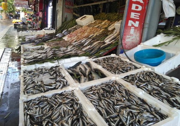Havalar ısındı, Diyarbakır’da balık fiyatları geriledi