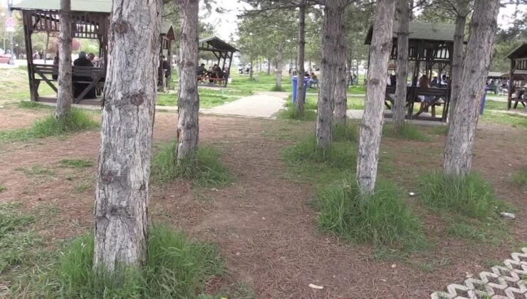 Havaların ısınmasıyla KKKA virüsü bulaştıran kenelere karşı uzman uyarısı