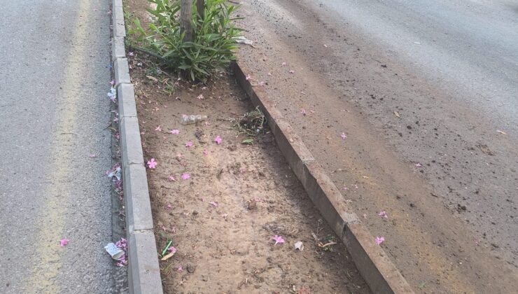 Bilinçsiz Sulama Tepki Çekiyor: Orta Refüjlerden Yola Çamur Sıçrıyor