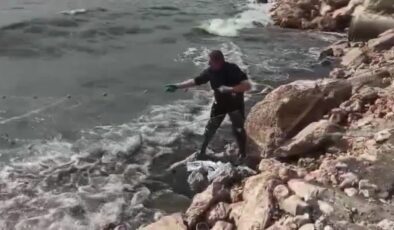 Van’da kaçak avlanan 2,5 ton inci kefaline operasyon düzenlendi