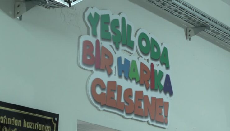 Lice’de öğrencilere özel ‘yeşil odalar’la farkındalık artıyor