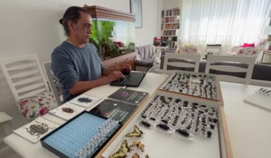 Ailesine böceklerle ölümsüzlük kazandırdı