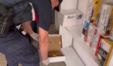 125 bin makaron ele geçirildi