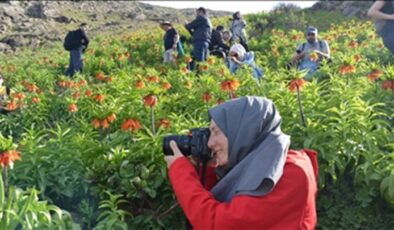“Muş 1071” adıyla tescillenen laleler açtı; Muş ovası renklendi