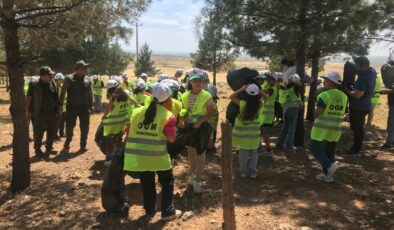 Mardin Derik’te ormanlar için farkındalık oluşturuldu